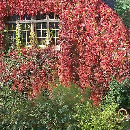 Welcoming With Naturistic Views In Restchow Retschow