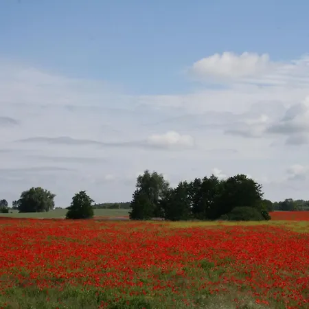 Apartment Welcoming With Naturistic Views In Restchow *